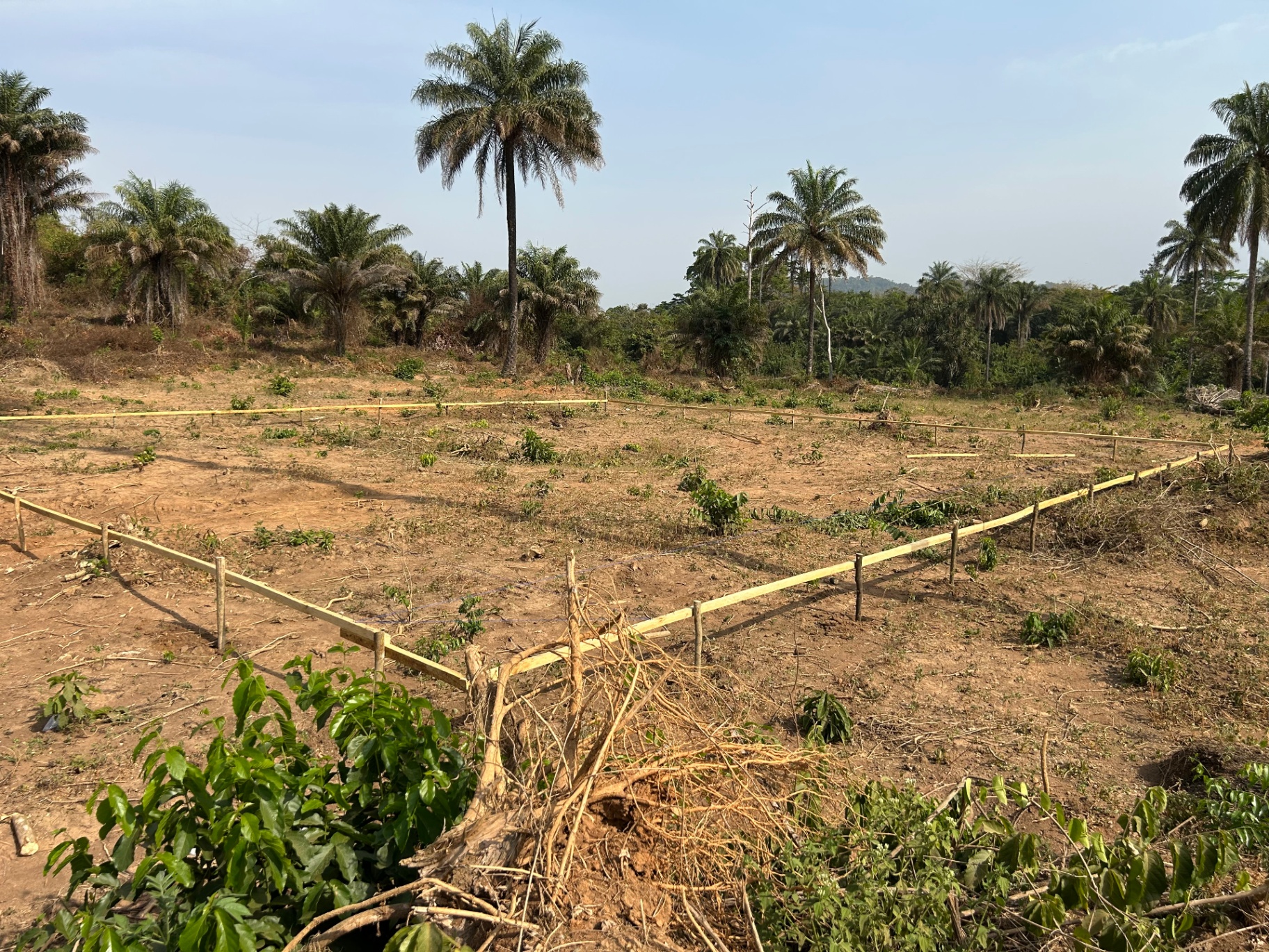 Land staked for the college site